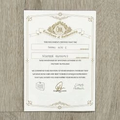 Mayones Duvell Elite 6 Guitar, Transparent Dirty Red Satin -Musical Instrument Shop 20201112 dsc04014