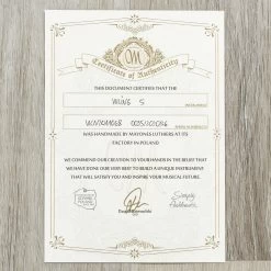 Mayones Viking 5 5-String Bass, Black Horizon 25 Mayones Viking 5 5-String Bass, Black Horizon -Musical Instrument Shop 20201210 dsc08526