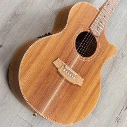 Cole Clark Angel 2 Series AN2EC-BLBL Acoustic-Electric Guitar, Australian Blackwood Top, Hard Case -Musical Instrument Shop 20220906 dsc00580