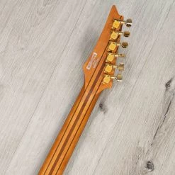 Ibanez RGT1220PB Premium RG Guitar, Ebony Fretboard, Antique Brown Stained -Musical Instrument Shop 20230501 20230501 dsc08934 1