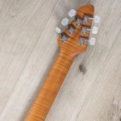 Peavey HP 2 Poplar Burl RM Guitar, Roasted Maple Fretboard, Transparent Blue -Musical Instrument Shop 20230713 dsc03020 1