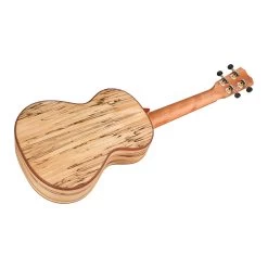 Cordoba 03983 24T Spruce Uke Ukulele W/ Spalted Maple Back & Sides, Tenor -Musical Instrument Shop cor 03983 4