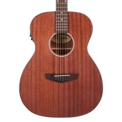 D'Angelico DAPLSOMMAHCP Premier Tammany LS Acoustic Electric Guitar, Mahogany -Musical Instrument Shop dan daplsommahcp 5