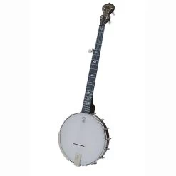Deering Banjo Company Artisan Goodtime 5-String Openback Banjo