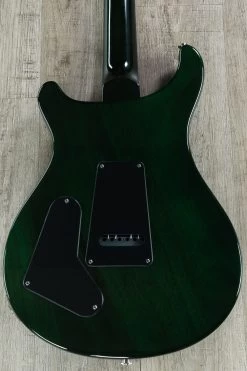PRS Paul Reed Smith S2 Custom 22 Guitar, Moss Green, Rosewood Fingerboard, Gig Bag -Musical Instrument Shop dsc00560 2