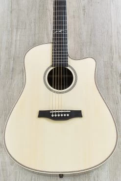 Seagull Artist Peppino Signature Acoustic-Electric Guitar, Cutaway, LR Baggs Element Preamp + Case