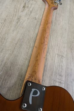 Porter Les Bois Guitar, 2-Tone Tobacco Burst Finish, Roasted Birdseye Maple Neck, Ebony Fretboard -Musical Instrument Shop dsc08759