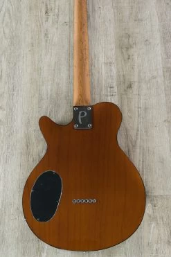 Porter Les Bois Guitar, 2-Tone Tobacco Burst Finish, Roasted Birdseye Maple Neck, Ebony Fretboard -Musical Instrument Shop dsc08761