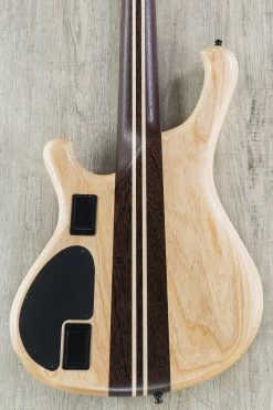 Mayones Viking 5 5-String Bass, Purple Horizon, Ebony Fretboard, Bartolini And Aguilar Electronics 17 Mayones Viking 5 5-String Bass, Purple Horizon, Ebony Fretboard, Bartolini And Aguilar Electronics -Musical Instrument Shop dsc09489 2 1