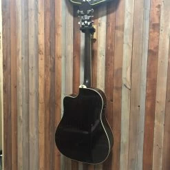 Front Page -Musical Instrument Shop epi ee2snanh1 3