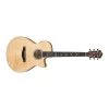 Ibanez AEG750 Acoustic Electric Guitar, All Flame Maple Body W/ Ebony Fretboard -Musical Instrument Shop ibz aeg750nt 1