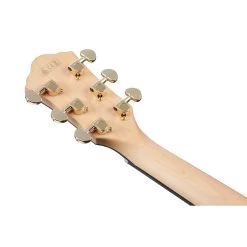 Ibanez AEG750 Acoustic Electric Guitar, All Flame Maple Body W/ Ebony Fretboard 11 Ibanez AEG750 Acoustic Electric Guitar, All Flame Maple Body W/ Ebony Fretboard -Musical Instrument Shop ibz aeg750nt 5