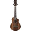Ibanez EWP13DBO 6-String Piccolo Acoustic Guitar, Dark Brown Open Pore -Musical Instrument Shop ibz ewp13dbo