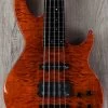 ESP LTD BB-1005 Fretless 5-String Bass Autographed By Bunny Brunel, Burnt Orange, Aguilar Electronics, Ebony Board