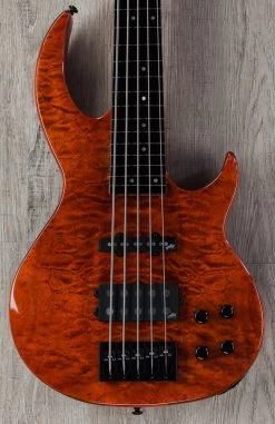 ESP LTD BB-1005 Fretless 5-String Bass Autographed By Bunny Brunel, Burnt Orange, Aguilar Electronics, Ebony Board