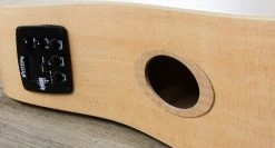 Riversong Tradition Canadian Performer Acoustic-Electric Guitar, Spruce Top Back And Sides, NeckNology -Musical Instrument Shop img 8183