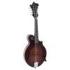 The Loar LM-310F Honey Creek F-Style Mandolin, Solid Spruce Top, Satin Brownburst -Musical Instrument Shop loar lm 310f brb 1