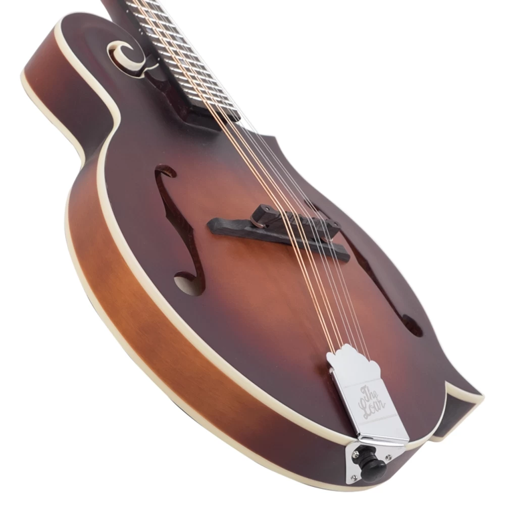 The Loar LM-310F Honey Creek F-Style Mandolin, Solid Spruce Top, Satin Brownburst 5 The Loar LM-310F Honey Creek F-Style Mandolin, Solid Spruce Top, Satin Brownburst - Image 3