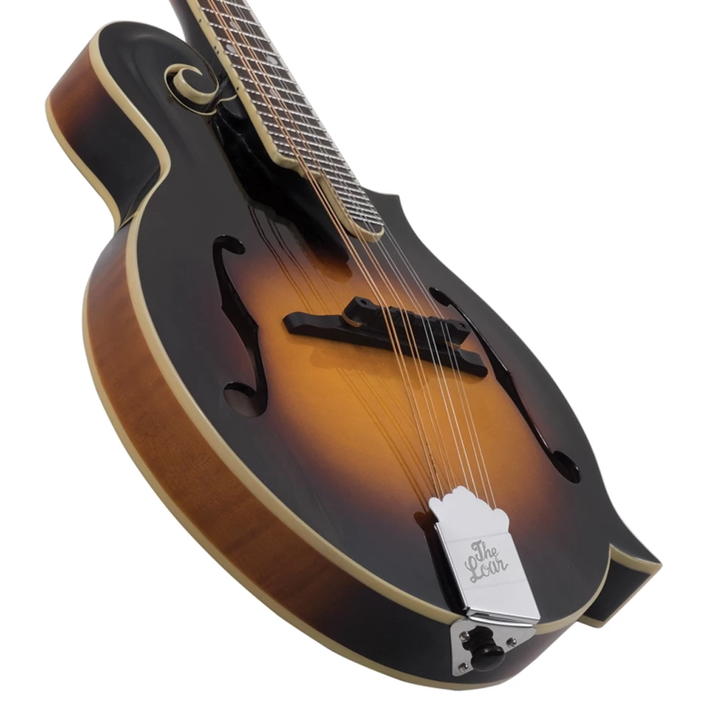 The Loar LM-520 Performer F-Style Mandolin, Solid Spruce Top, Vintage Sunburst 5 The Loar LM-520 Performer F-Style Mandolin, Solid Spruce Top, Vintage Sunburst - Image 3