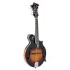 The Loar LM-600 Professional F-Style Mandolin, Solid Spruce Top, Vintage Sunburst 1 The Loar LM-600 Professional F-Style Mandolin, Solid Spruce Top, Vintage Sunburst -Musical Instrument Shop loar lm 600 vs 1