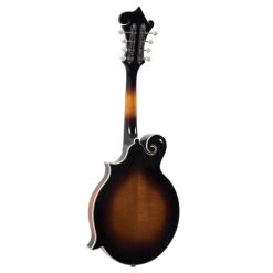 The Loar LM-600 Professional F-Style Mandolin, Solid Spruce Top, Vintage Sunburst -Musical Instrument Shop loar lm 600 vs 4