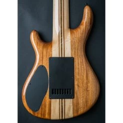 Mayones Regius 8 4Ever 8-String Baritone Scale Electric Guitar Ebony Macassar Gloss Finish With Hardcase -Musical Instrument Shop may reg8 em4 5