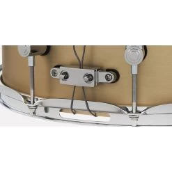 PDP PDSN6514CSBB Concept Select 3mm Seamless Bell Bronze Snare Drum, 6.5 X 14 -Musical Instrument Shop pdp pdsn6514csbb 4