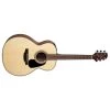 Takamine GLN12E NS NEX Acoustic Electric Guitar, Okoume Body W/ Spruce Top -Musical Instrument Shop tak gln12ens 1