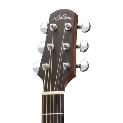 Walden G570ETB Acoustic Electric Guitar, Solid Cedar Top, Satin Tobacco Burst -Musical Instrument Shop wald g570etb w 3