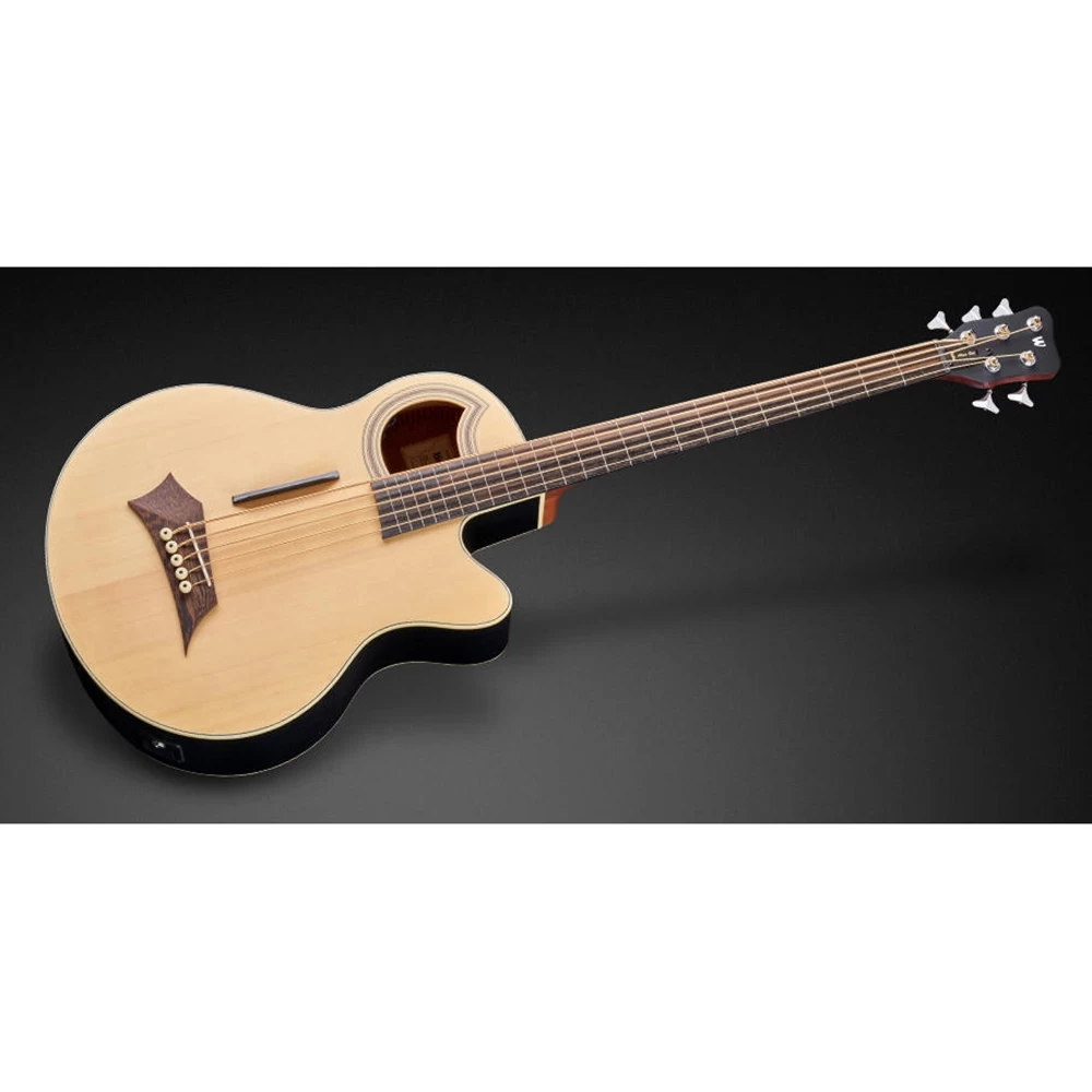 Warwick RockBass Alien Standard 5-String Fretless Acoustic Electric Bass, Natural Transparent Satin 3 Warwick RockBass Alien Standard 5-String Fretless Acoustic Electric Bass, Natural Transparent Satin