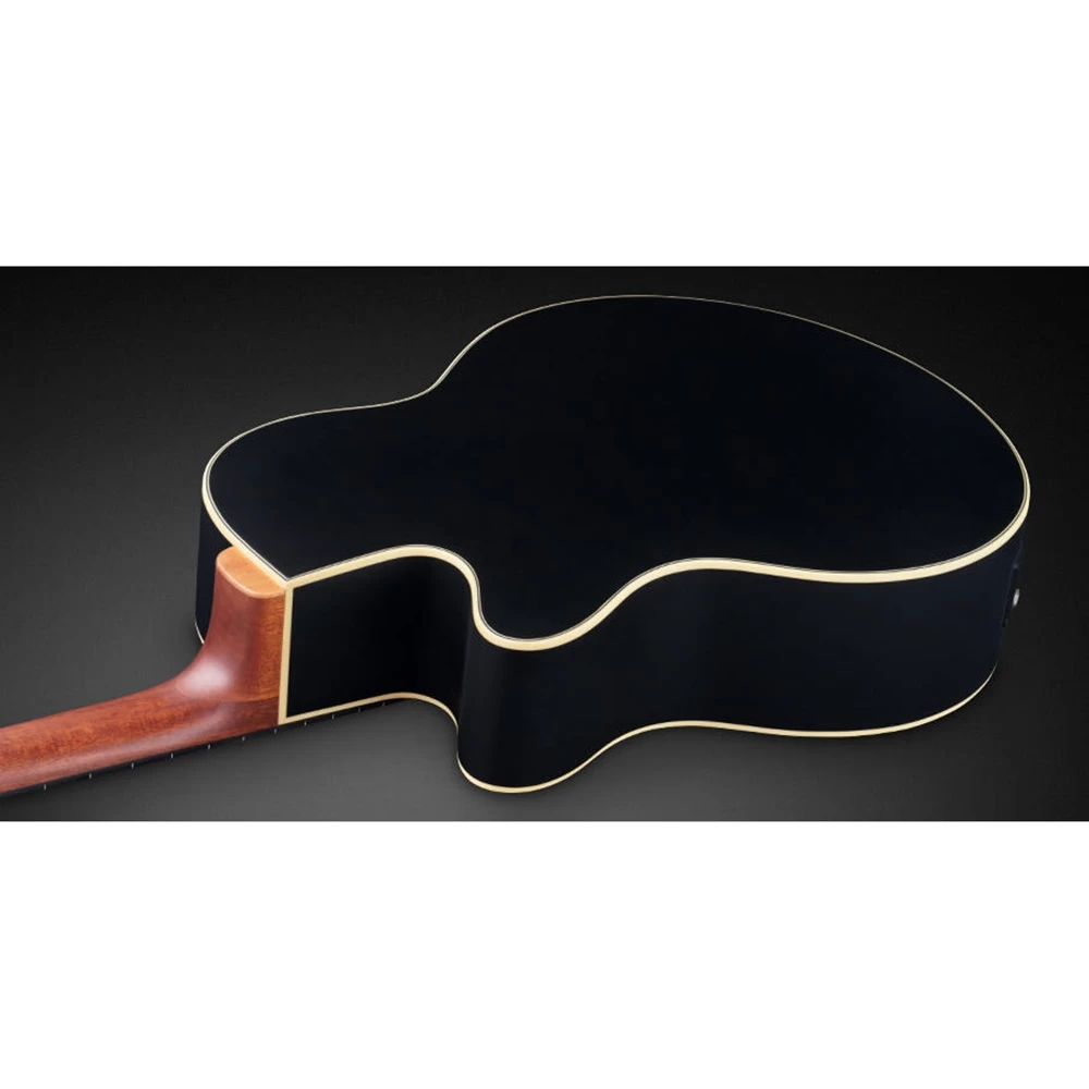 Warwick RockBass Alien Standard 5-String Fretless Acoustic Electric Bass, Natural Transparent Satin 7 Warwick RockBass Alien Standard 5-String Fretless Acoustic Electric Bass, Natural Transparent Satin - Image 5