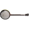 Washburn B9 5-String Banjo -Musical Instrument Shop wash b9 1