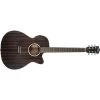 Washburn DFEACE-U Deep Forest Ebony ACE Acoustic Electric Guitar, Striped Ebony -Musical Instrument Shop wash dfeace