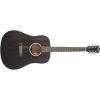 Washburn DFED Deep Forrest Ebony D Acoustic Electric Guitar, Striped Ebony Top 2 Washburn DFED Deep Forrest Ebony D Acoustic Electric Guitar, Striped Ebony Top -Musical Instrument Shop wash dfed