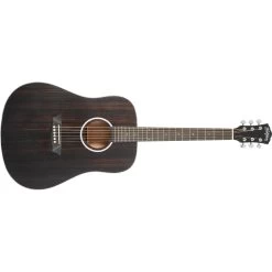 Washburn DFED Deep Forrest Ebony D Acoustic Electric Guitar, Striped Ebony Top