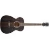Washburn DFEFE Deep Forrest Ebony FE Acoustic Electric Guitar, Striped Ebony Top