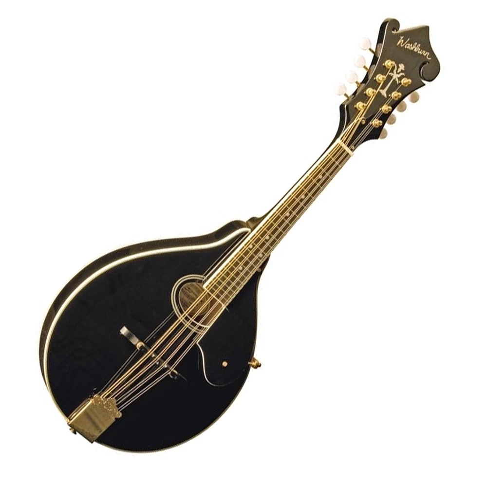 Washburn M1SDL Black Mandolin 3 Washburn M1SDL Black Mandolin