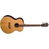 Washburn WG26S Tahoe Deluxe Series Acoustic Guitar (Natural)